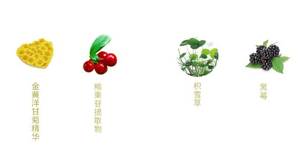 五台县虫草饭加盟排行榜
